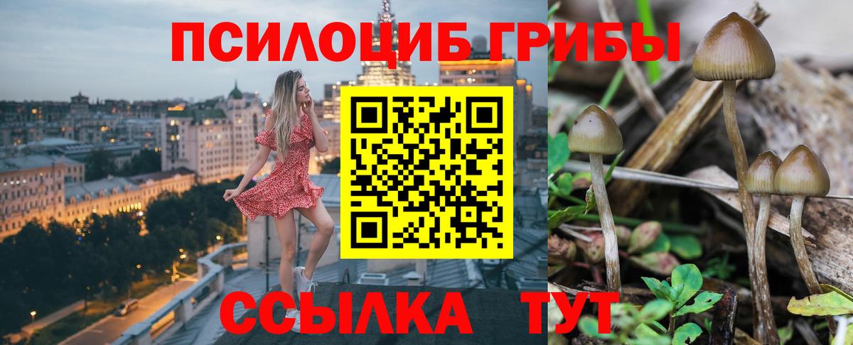 Галлюциногенные грибы ЛСД Люберцы